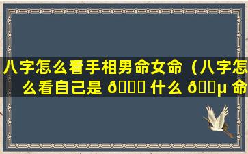 八字怎么看手相男命女命（八字怎么看自己是 🍁 什么 🐵 命格）